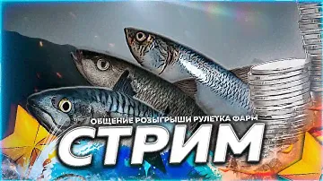 🔥На Креветки ⭐ Фарм на мелких банках Моря 🎁Рулетка & Розыгрыши 🏆 СТРИМ РР4